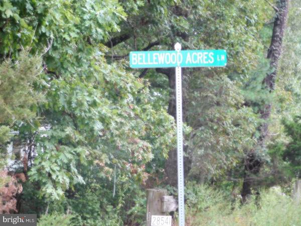 Rhoadesville, VA 22542,LOT 8K BELLEWOOD ACRES LN