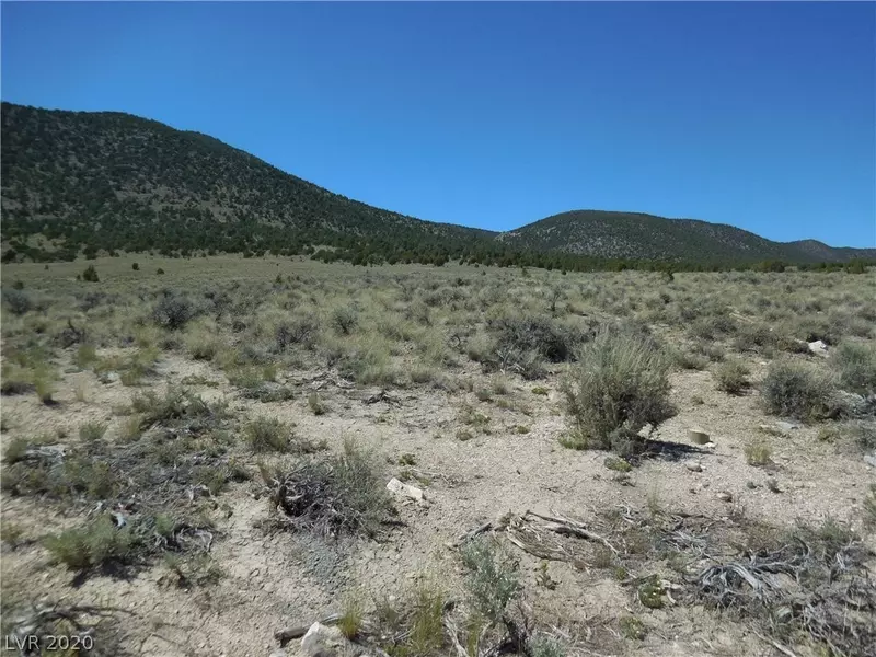 East Creek - 5 ac Parcel, Mcgill, NV 89318