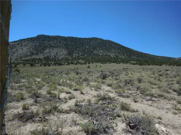 Mcgill, NV 89318,East Creek - 5 ac Parcel