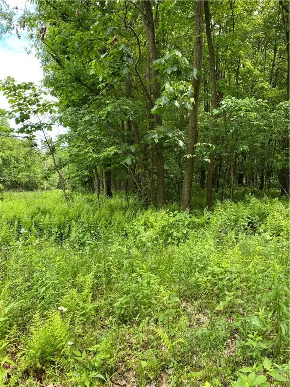 Chicora, PA 16025,0000 Game Reserve  Rd