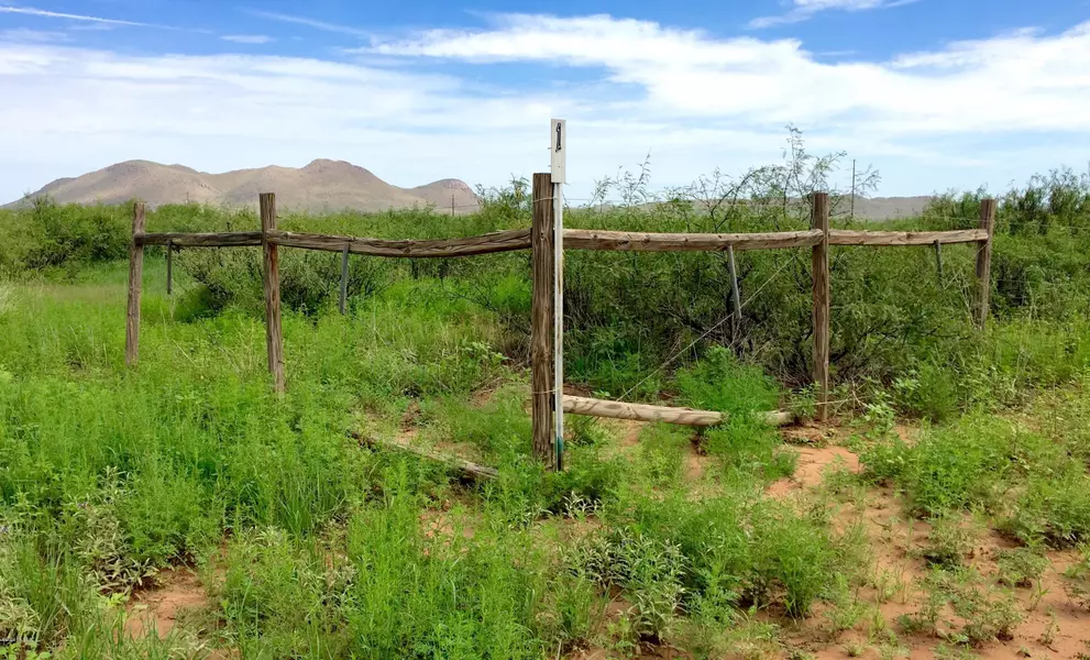 30 Ac E Doe Ranch Road #56, Pearce, AZ 85625