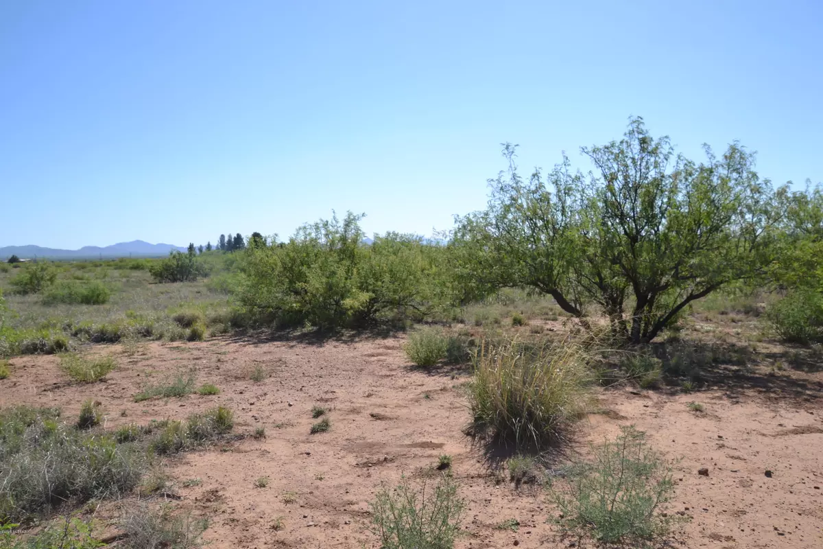 Douglas, AZ 85607,27.62 Ac Highway 191  #-