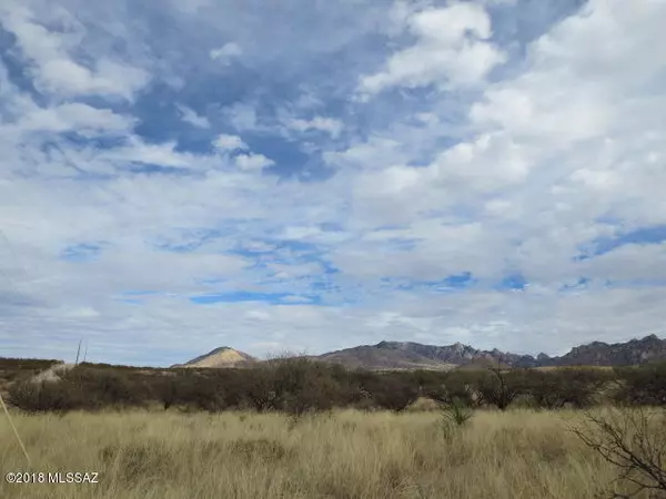 St. David, AZ 85630,36.17 ac E Horse Ranch Road #45