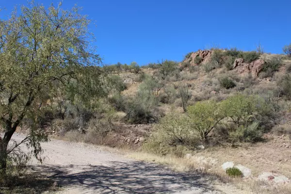 Tubac, AZ 85646,TBD Whitetail Lane #2