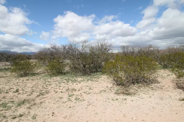 Benson, AZ 85602,Lot 5 San Pedro Ranches  #Lot 5