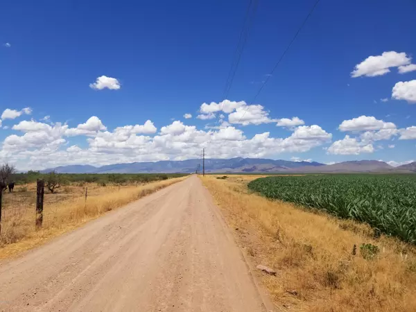 Willcox, AZ 85643,10000 Fort Grant Road