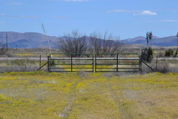 Mc Neal, AZ 85617,Tbd 318 Ac Highway 191  #-