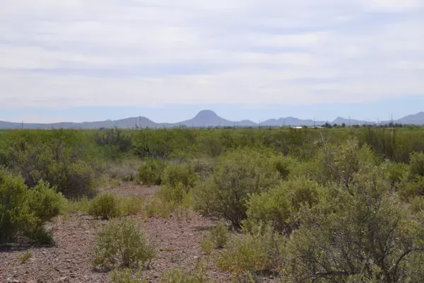 Douglas, AZ 85607,27.62 Ac Highway 191  #-