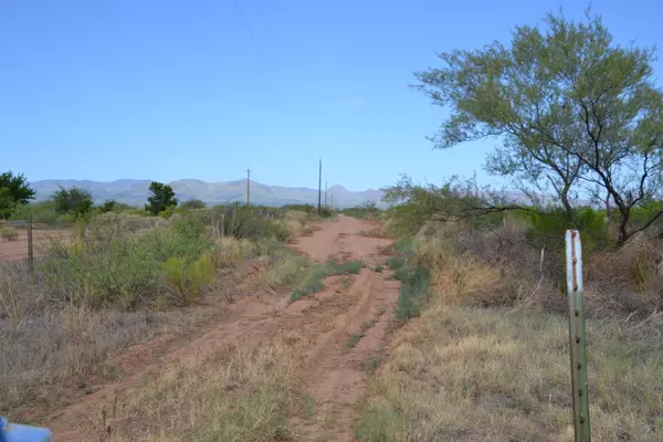 Mc Neal, AZ 85617,4879 W Churella Trail #-