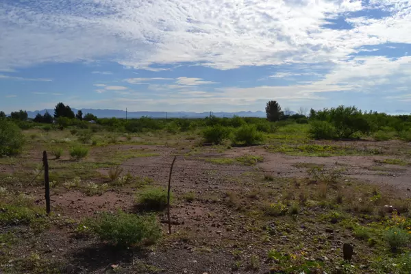 Mc Neal, AZ 85617,4.49 Ac Frontier Road #-