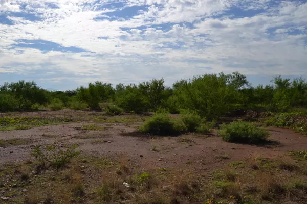 Mc Neal, AZ 85617,4.49 Ac Frontier Road #-