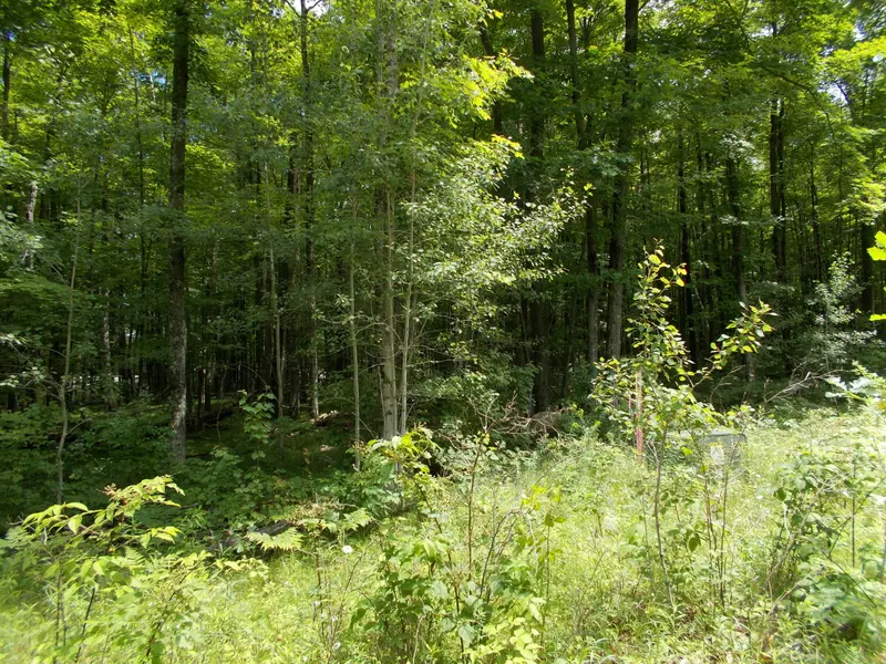 Lt#22 Cassidy Way, Lake, WI 54114