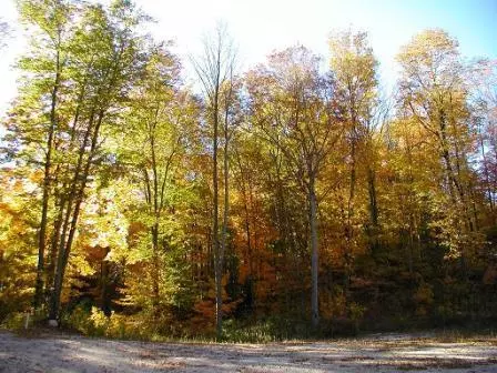 Rhine, WI 53020,Lot 5 Burrows LN