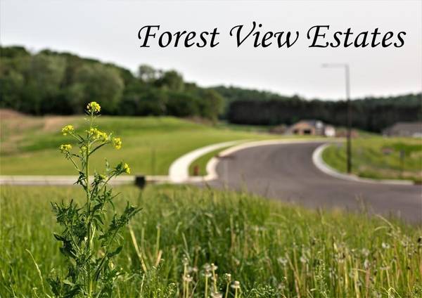 603 Forest View DR, Holmen, WI 54636