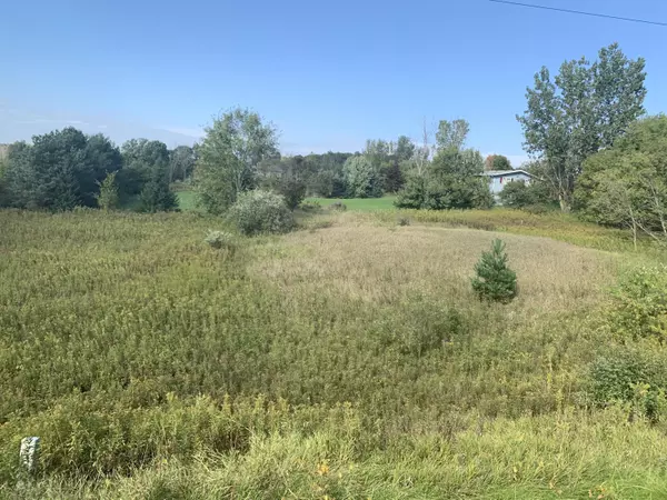 Rhine, WI 53020,Lot 38 Ridge Creek Rd