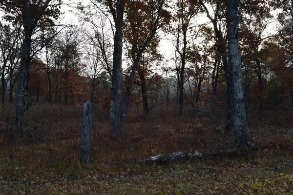 Stephenson, WI 54114,Lt72 Johnson Falls Rd