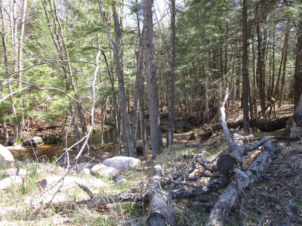N6908 Mill Creek Rd, Seneca, WI 54128