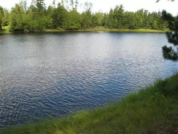 Lot 14 Menominee River Shores Dr, Wagner, WI 54177