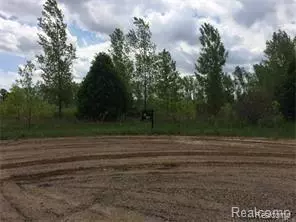 0 LINDEN, Almont Twp, MI 48003