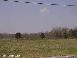 Huron Twp, MI 48164,VACANT HANNAN (PARCEL D1)