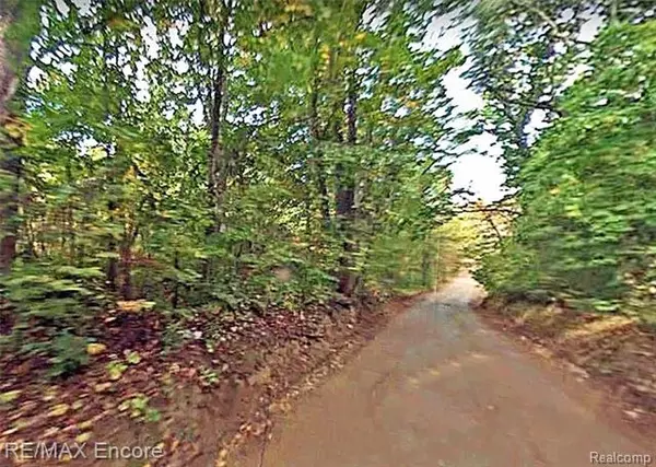 White Lake Twp, MI 48329,0000 HITCHCOCK PARCEL A RD