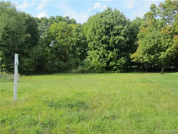 Brighton Twp, MI 48114,VAC Lot 75 Toms Hollow