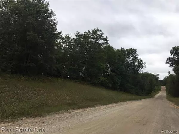 Mills Twp, MI 48661,000 Freeman RD