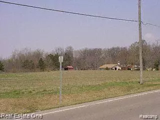 Huron Twp, MI 48164,VACANT HANNAN (PARCEL D1)