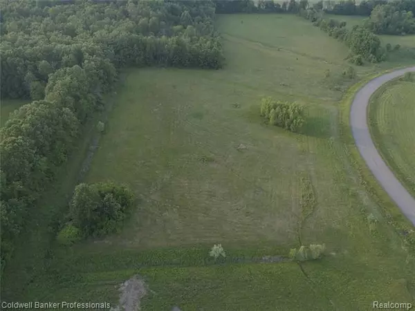 Parcel 11 EDDA MARIE CRT, Lapeer Twp, MI 48446