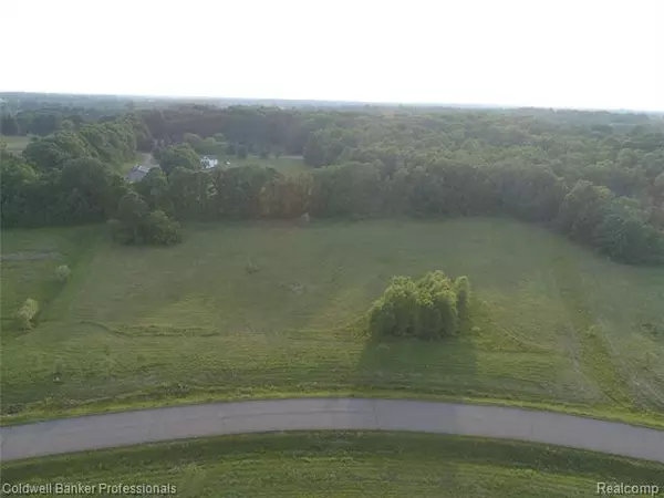 Lapeer Twp, MI 48446,Parcel 11 EDDA MARIE CRT