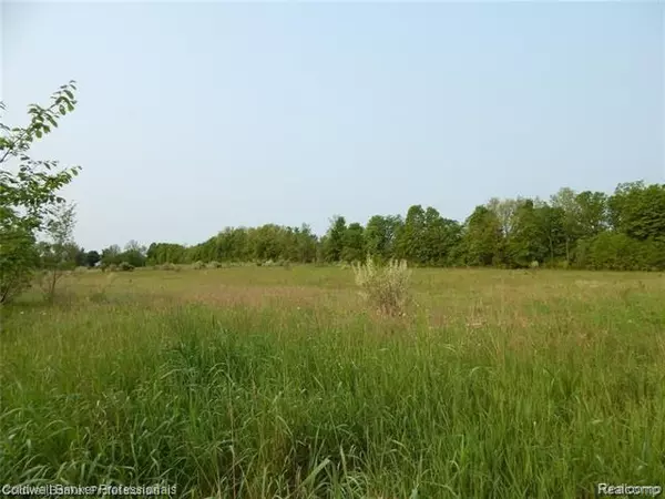 Lapeer Twp, MI 48446,Parcel 11 EDDA MARIE CRT
