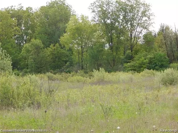 Lapeer Twp, MI 48446,Parcel 11 EDDA MARIE CRT