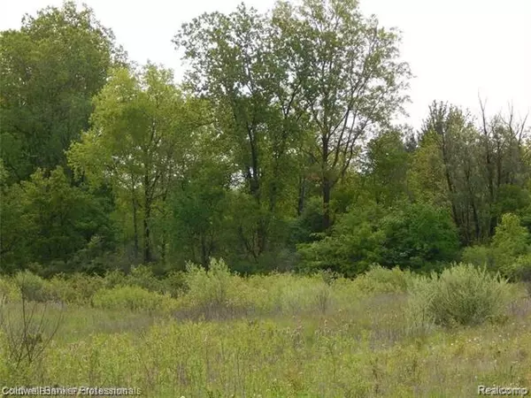 Lapeer Twp, MI 48446,Parcel 11 EDDA MARIE CRT