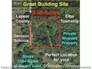 Elba Twp, MI 48423,0 N WASHBURN RD