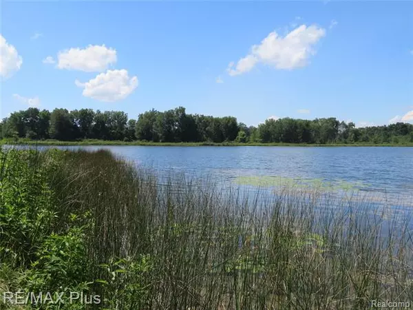 Lapeer Twp, MI 48446,0000 BRIAR HILL DR