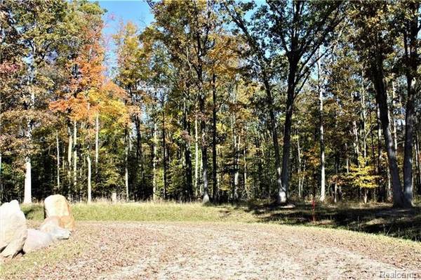 Parcel 8 IMLAY CITY RD, Mussey Twp, MI 48014