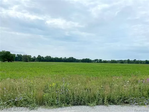 Ira Twp, MI 48023,00 ARNOLD RD