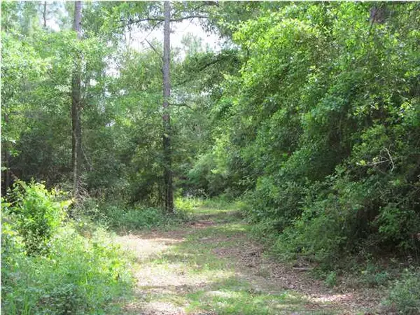 Defuniak Springs, FL 32433,LOT 26 Pinewood Drive