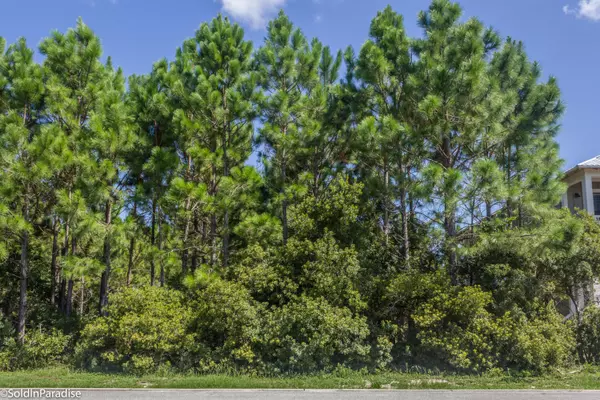 Santa Rosa Beach, FL 32459,LOT 5A Sand Dollar Court