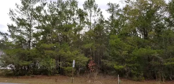 Freeport, FL 32439,Lot 9 BlkC Hickory Loop Drive