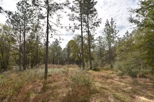 Crestview, FL 32539,Lot 158 Park Place