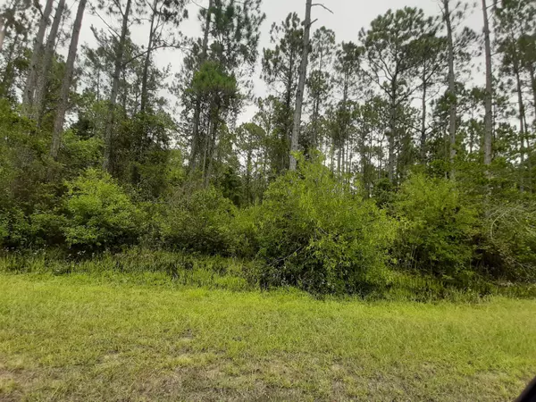 TBD Watson Road, Freeport, FL 32439