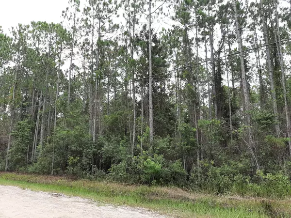 Freeport, FL 32439,TBD Watson Road