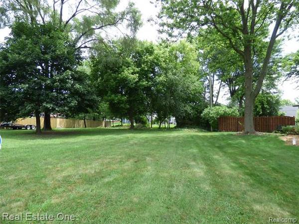 Vac Rondeau, Lyon Twp, MI 48165